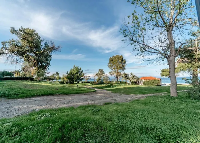 Апартаменты Nika *